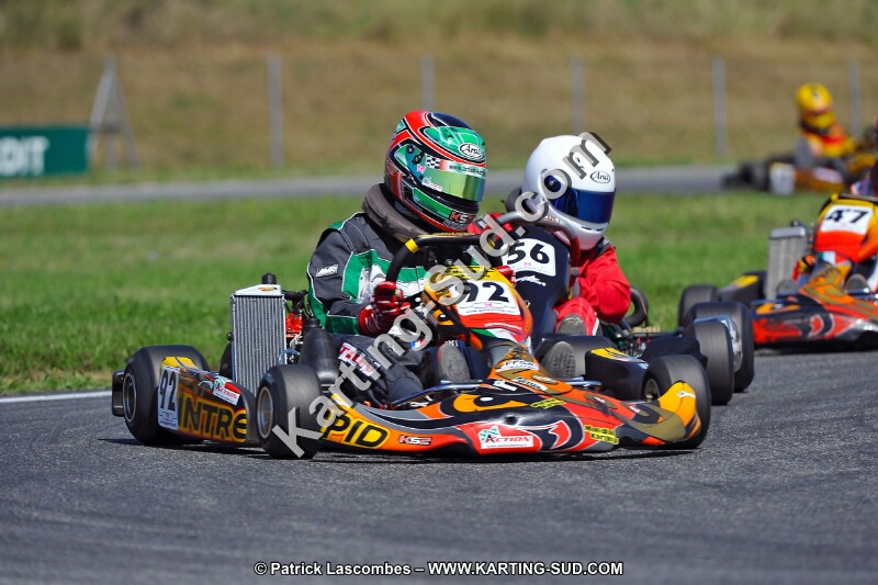 DSC_ (1402).jpg